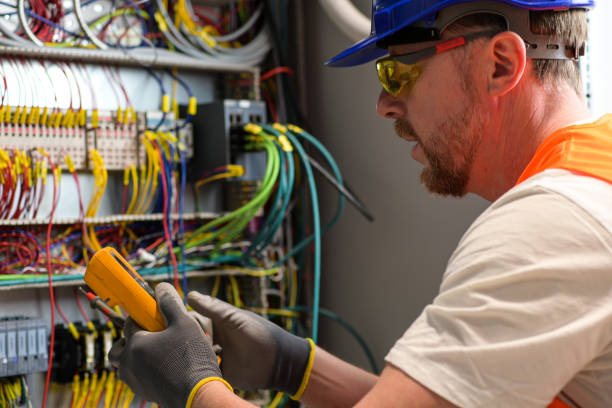 Best Electric Panel Repair  in Mammoth, AZ